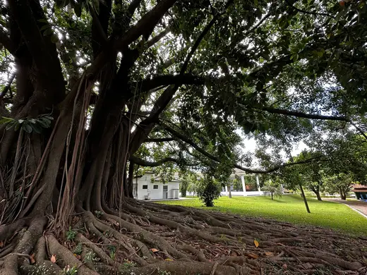 Espaços e estrutura da Fazenda Pingo D'Água