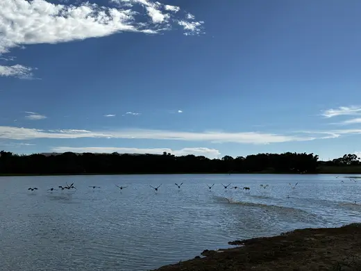 Natureza e paisagens da Fazenda Pingo D'Água