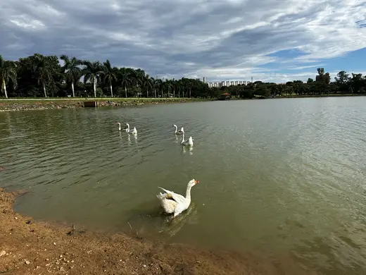 Natureza e paisagens da Fazenda Pingo D'Água