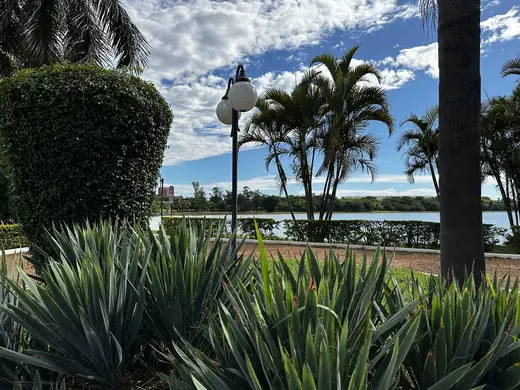 Natureza e paisagens da Fazenda Pingo D'Água