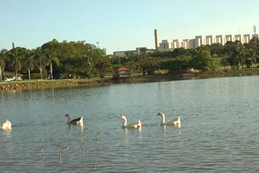Natureza e paisagens da Fazenda Pingo D'Água