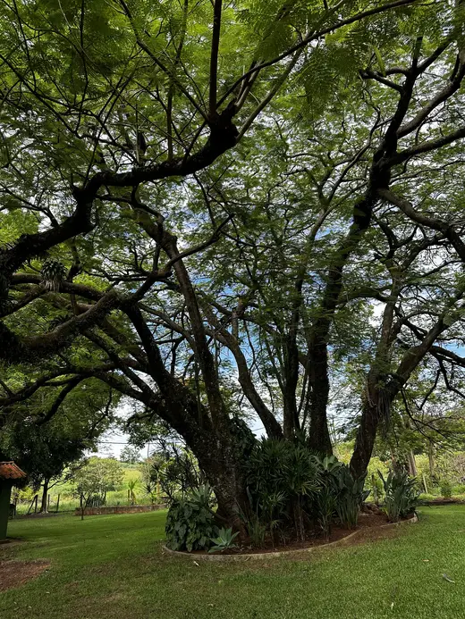 Natureza e paisagens da Fazenda Pingo D'Água