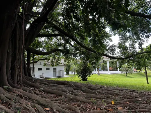 Natureza e paisagens da Fazenda Pingo D'Água