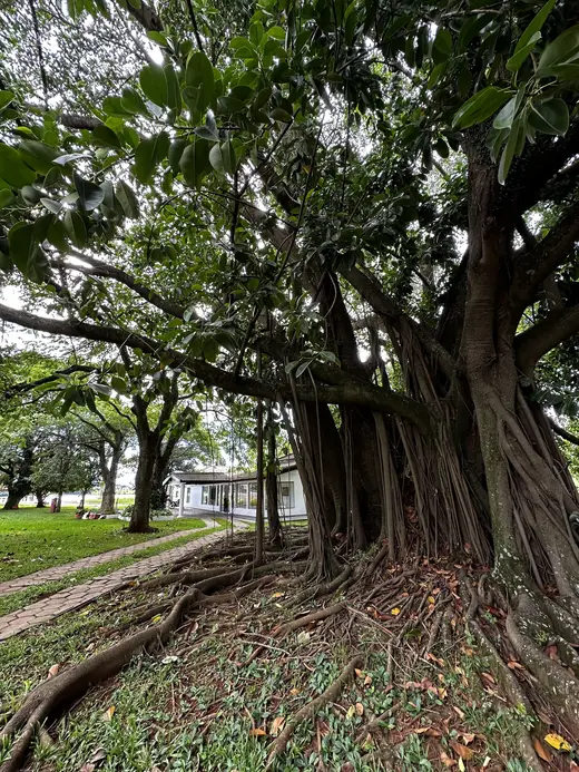 Natureza e paisagens da Fazenda Pingo D'Água