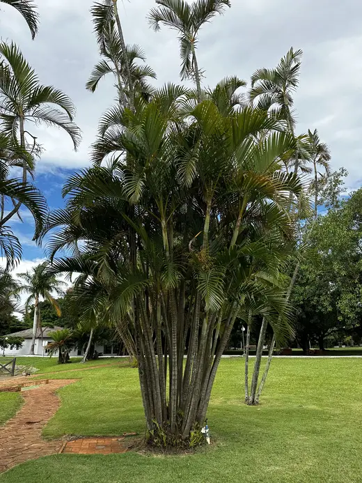 Natureza e paisagens da Fazenda Pingo D'Água