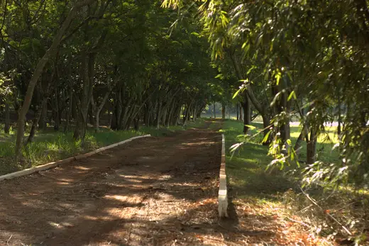Natureza e paisagens da Fazenda Pingo D'Água