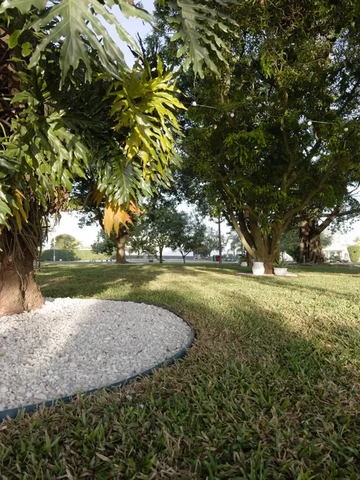 Natureza e paisagens da Fazenda Pingo D'Água