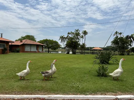 Natureza e paisagens da Fazenda Pingo D'Água