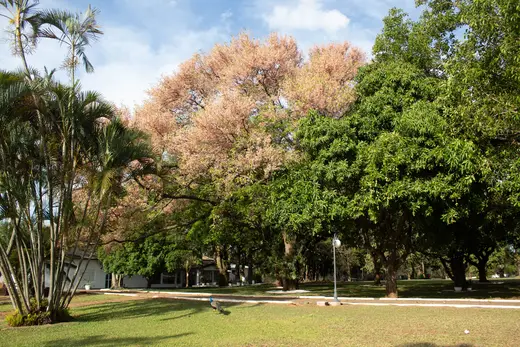 Natureza e paisagens da Fazenda Pingo D'Água