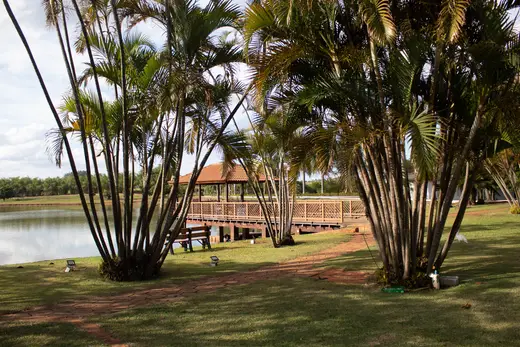 Natureza e paisagens da Fazenda Pingo D'Água