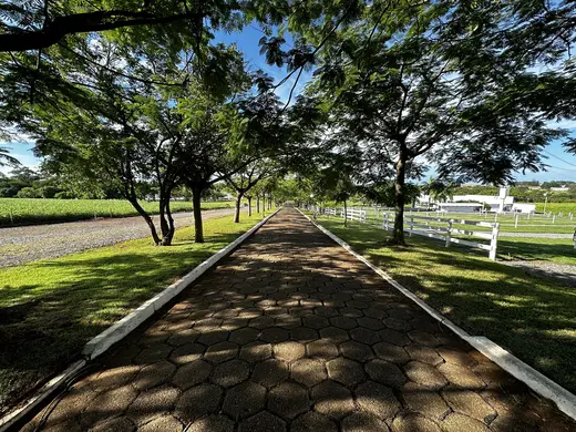 Natureza e paisagens da Fazenda Pingo D'Água