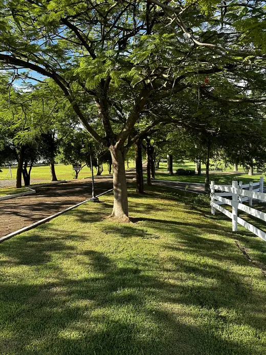 Natureza e paisagens da Fazenda Pingo D'Água