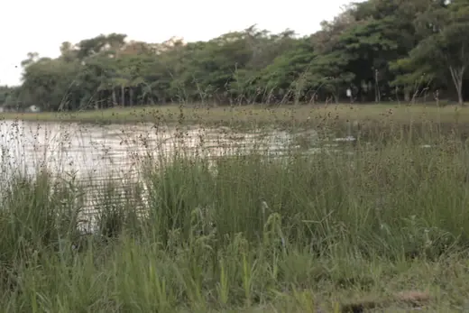 Natureza e paisagens da Fazenda Pingo D'Água