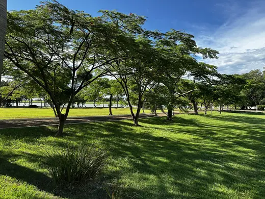 Natureza e paisagens da Fazenda Pingo D'Água