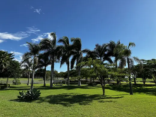 Natureza e paisagens da Fazenda Pingo D'Água
