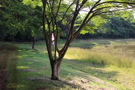 Natureza e paisagens da Fazenda Pingo D'Água